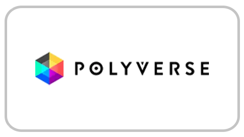 polyverse-pluginsmasters