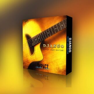 ISW-Django-gypsy-jazz-guitar