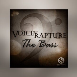 Voice of Rapture: The Bass Pluginsmasters