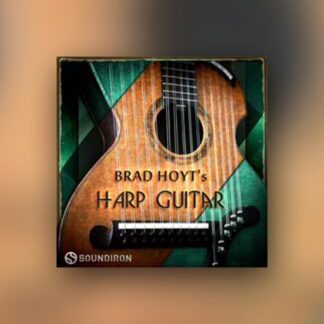 Brad Hoyt's Harp Guitar Pluginsmasters