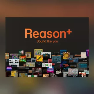 Reason plus 1 Year prepaid subscription